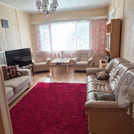 Mini-mani Northern House Apartment *