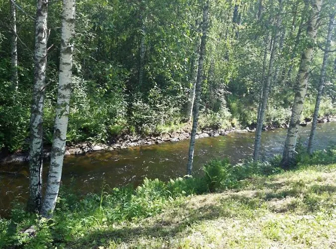 Mini-mani Northern House *